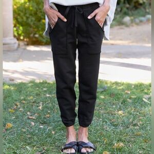 Frank & Eileen Eamon Jogger Sweatpant Triple Fleece in Black